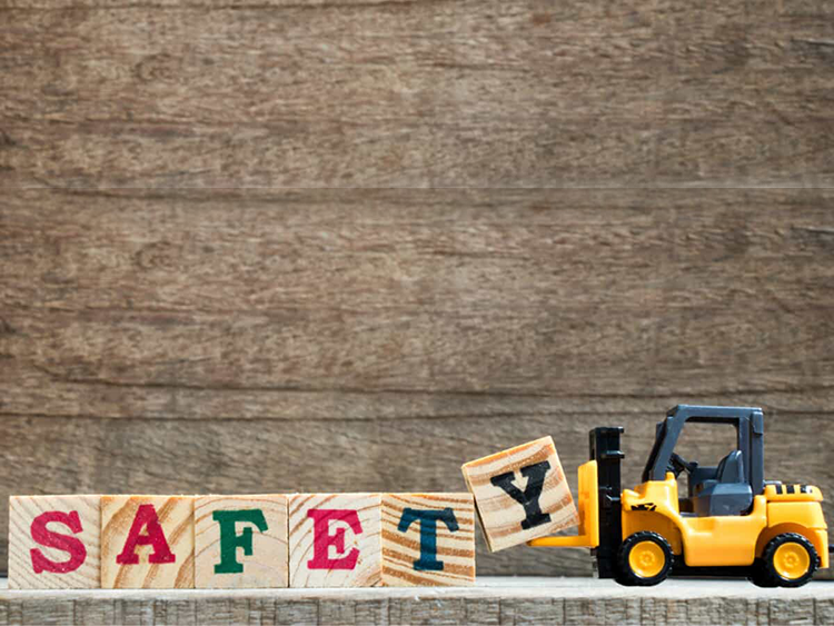 Read more about the article Velit a facilisis sagittis